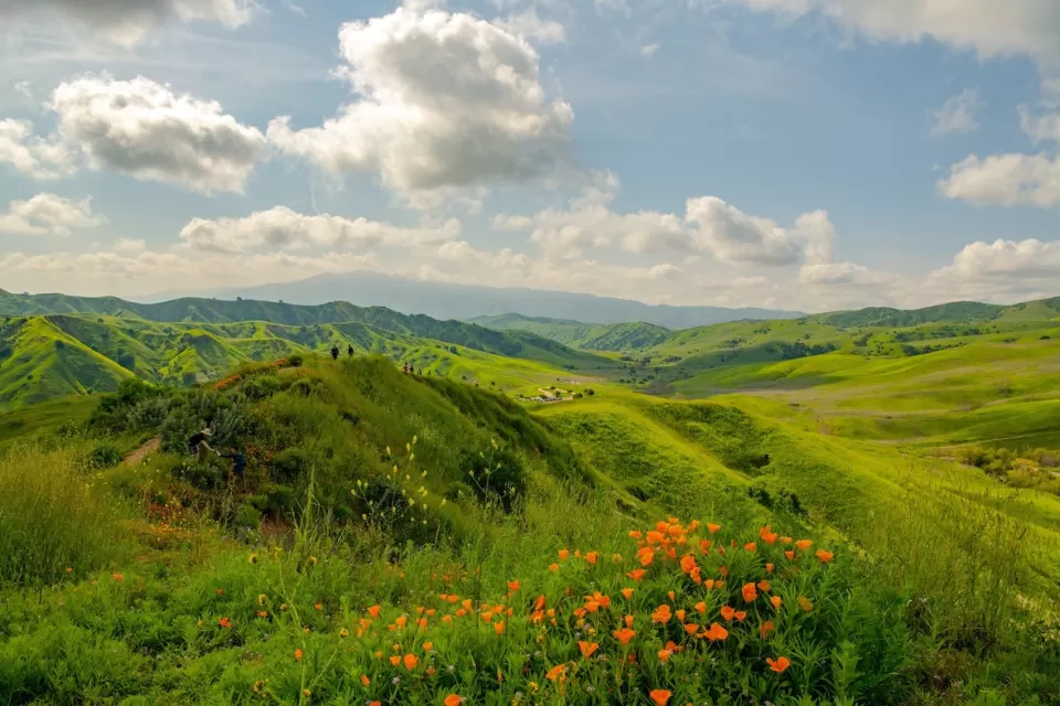Green hills with orange California poppies in bloom in foreground in Chino Hills State Park, California.